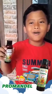 Madu PROMANDEL Biosfera Kids: Obat Herbal Amandel & Radang Tenggorokan Anak