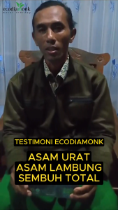 BUY 1 GET 2 Ecodiamonk Obat Herbal Kolesterol Asam Urat Diabetes Gula Darah Asam Lambung Hipertensi