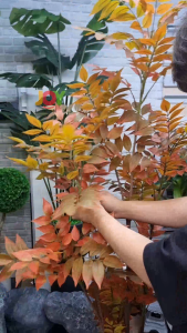 Elegant Tall Nandina Domestica Artificial Faux Tree in Grey Pot for Home & Office Decor