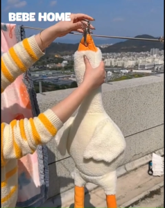 ตัวหนีบผ้า มีหลายแบบ: ไม้หนีบผ้า หนีบผ้าสแตนเลส คลิปหนีบผ้า กิ๊บหนีบผ้าสแตนเลส ตัวหนีบผ้าใหญ่ ที่หนีบผ้า ไม้หนีบผ้าสแตนเลส หนีบแน่น ไม่เป็นสนิม