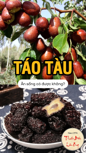 Táo đen sấy dẻo 1kg táo tàu không tẩm đường táo đen pha trà ăn vặt hầm canh thơm ngon
