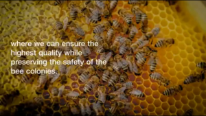 Forever Bee Propolis Plus (EXP: May 2026)