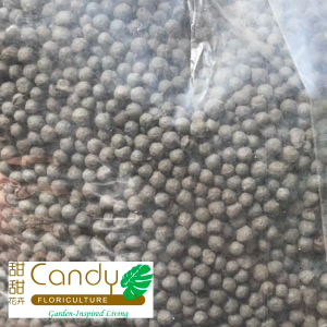 (SG Seller) AquaSoil USAGI for aquarium and water plants 1kg