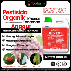 Obat Semprot Hama Daun Anggur / Obat Hama Tanaman Daun Anggur / Obat Hama Ulat Tanaman Anggur / Obat Hama Untuk Pohon Anggur / Obat Hama Pada Tanaman Anggur / Obat Hama Anggur Brazil