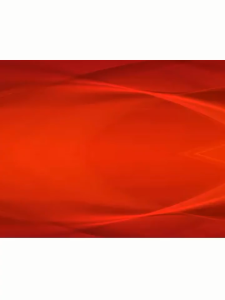 Push Up Bra Sport Gym Yoga Bra Olahraga Wanita Tanpa Kawat BH Sport BH25