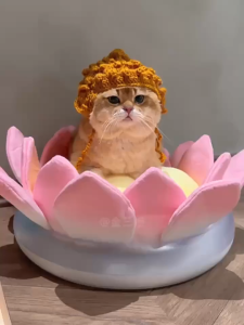 Lotus Cat Bed Cat Scratching Board Lotus Throne Cat Buddha Cat Mat Soft Cushion