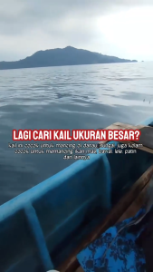 Mata Kail Pancing Daido 1053 Perkotak / Kail Pancing Murah Isi Banyak