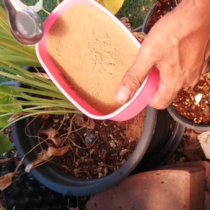 0-3-0 แร่ธาตุ หินฟอสเฟส P (Calcium phosphate) เร่งโต, ประกอบด้วย Calcium phosphate