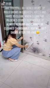 LKB Wall Mold Remover (500ml) Spray Cleaner for Mildew Spot Stain Removal Bleach PEMBERSIH KULAT KOTORAN DINDING 兰康保墙体除霉剂