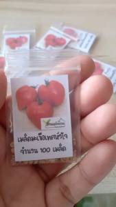 100 เมล็ด มะเขือเทศหัวใจ เมล็ดมะเขือเทศหัวใจ มะเขือเทศ เมล็ดมะเขือเทศ