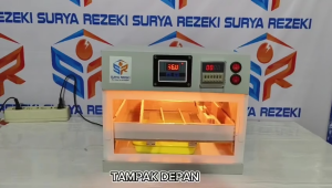 Mesin penetas telur full otomatis kapasitas 15 butir telur bebek ayam burung