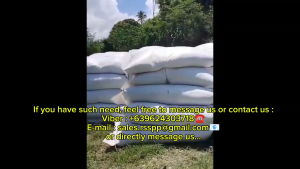 High-Quality Screened Cocopeat: An Organic Growing Medium