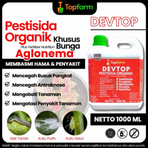 Pupuk Dan Obat Tanaman Aglonema / Obat Anti Bakteri Aglonema / Obat Semprot Tanaman Aglonema/ Obat Penumbuh Akar Aglonema / Obat Kutu Sisik Pada Aglonema / Obat Hama Daun Bunga