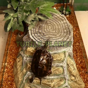 Turtle Reptile Resin Basking Platform Sunbath Turtle Tank Basking Island Tortoise Lizard Gecko Chameleons Hide Cave