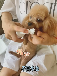 7o Pet Foot Cleaning Foam 150ml Gentle Effective Cleansing for Happy Healthy Feet Convenient Paw Cleansing