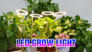 🔥SG STOCK🔥12H LED Plant Lamp Grow Light Full Spectrum For Plants Height Adjustable Growing Lamp With Timer Dimmable Plant Growth Light