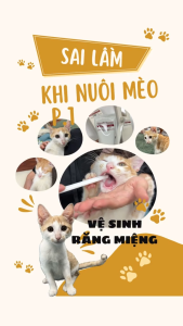 Combo kem đánh răng bàn chải cho chó mèo KOJIMA set vệ sinh răng miệng cho thú cưng  - Fairy Marina