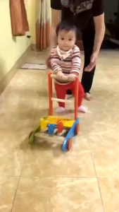 XE TẬP ĐI CHO BÉ BẰNG GỖ ( XE GÀ )