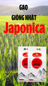 Gạo Nhật Japonica Hữu Cơ Dùng Nấu Cháo Nấu Cơm Cho Bé Ăn Dặm - Chính Hãng Vua Gạo -  Túi 5kg