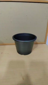 กระถางต้นไม้พลาสติก กระถางต้นไม้ ขนาด 5.5 นิ้ว สีดำ