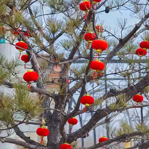 Dekorasi Musim Tahun Baru: Lampion Imlek Gantung & Dekorasi Imlek
