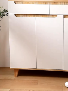 Double-layer shoe rack Foldable plastic shoe rack Space-saving shoe cabinet Layered partition storage rack