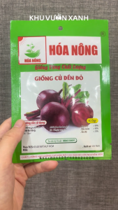 Hạt giống Củ dền đỏ năng suất cao - Gói 5gr - Tỉ lệ nảy mầm >90% - Trồng quanh năm
