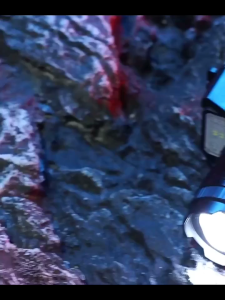 2000W Focusable Head lamp USB Induction Lampu kepala Torch light super bright for Camping Flashlight IP68 Lampu Suluh