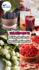 10 Set trà dâu lục vị mix set (Dâu tằm táo đỏ hoa hồng tây tạng kỳ tử hoa nhài) - Thảo Dược Hạnh Nguyên