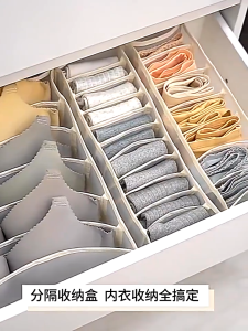 Penyelenggara Kotak Penyimpanan Celana Dalam Container Storage Box Organizer Celana Dalam
