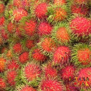 PREMIUM TROPICAL RAMBUTANS IMPORTED FROM MALAYSIA - PACK OF 1KG -  ISTANA ROYAL FRUITS
