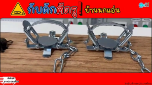 กับดักศัตรู นก บ้านนกแอ่น ทำจากสแตนเลสทนทาน แถมหนูล่อเหยื่อ