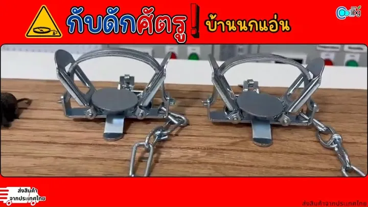 กับดักนกแอ่นสเตนเลส ทนทาน พร้อมหนูล่อเหยื่อ