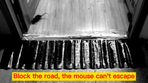 120*27cm mouse trap for big rats glue board heavy duty Special smell lure stickiness Its a normal 300x Waterproof and moisture-proof sticky mouse trap rat killer