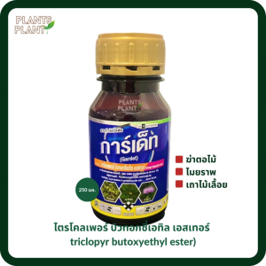 การ์เด็ท 250ซีซี ไตรโคลเพอร์ ยาฆ่าตอไม้ สารกำจัดหญ้า หญ้าใบกว้าง เถาเลื้อย ตดหมูตดหมา กำจัดตอไม้ ต้นไม้ ต้นยาง