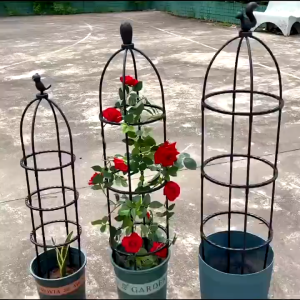 145cm*28cm ซุ้มกุหลาบ ซุ้มกุหลาบเลื้อย โครงกุหลาบเลื้อย ซุ้มไม้เลื้อย เหล็กแข็งแรง ท่อเหล็กเคลือบ PE กันสนิม กระถางต้นไม โครงกุหลาบเลื้อย ซุ้มไม้เลื้อย เหล็กแข็งแรง ท่อเหล็กเคลือบ กระถางต้นไม อุปกรณ์ตกแต่งสวน เหล็กแข็งแรง