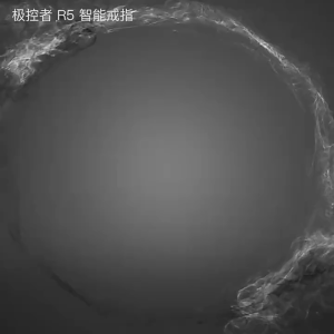 Polar Controller R5 Smart Ring Smart Wearable Device-level Health Positioning Ring Non-heart Rate