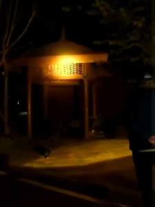 จัดส่งฟรี ราคาส่ง!!! T998 ไฟฉายคาดหัว แท้ แรงสูงไฟฉายคาดหัวแท้LEDกันน้ำ ไฟคาดหัวแรงสูง ไฟส่องกบ ส่องแสงระยะ5KMแบตอึด48-72ชม.ไฟฉายแรงสูง ไฟสายคาดหัว ไฟฉายแบบชาร์จ หม้อแบตคาดหัว