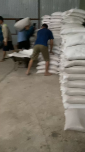 [1kg] Kê đỏ to thức ăn bổ dưỡng giành cho chim vẹt yến phụng chim cu manh manh yến hót hamster