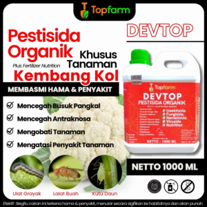Obat Pestisida Brokoli Ulat / Obat Brokoli / Obat Untuk Brokoli / Obat Hama Brokoli / Obata Hama Tanaman Sayuran Buah Brokoli / Obat Layu Tanaman Brokoli / Obat Jamur Akar Sayuran Brokoli