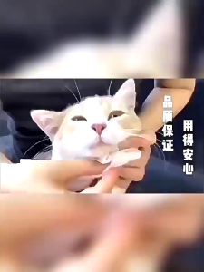 YTL COD ทิชชู่เปียก Pet wipes 80 แผ่น ผ้าเช็ดตาและหูสัตว์เลี้ยง สำหรับเช็ดสัต ว์เลี้ยง ทิชชู่เปียก ทิชชู่หมา น้ำบริสุทธิ์ แรงทำความสะ