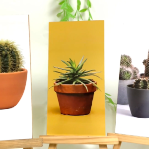 TENNESY HIASAN DINDING KAKTUS BOTANICAL 10x20CM WALL DECOR PAJANGAN KAYU POSTER RUMAH KAMAR