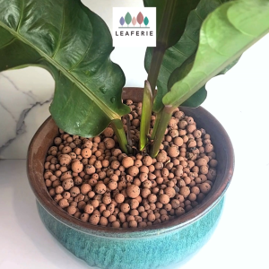 The Leaferie Albany large big plant pots (9 Designs) big flowerpot .flowerpots . flower pot . planter . large planters . Ceramic