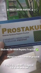 PROSTAKUR STRIP ISI 6 TABLET / OBAT HERBAL / MEMBANTU UNTUK MEMELIHARA KESEHATAN PROSTAT