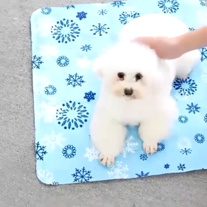 YTL แผ่นน้ําแข็งสําหรับสัตว์เลี้ยง แผ่นทําความเย็นเจล แผ่นทําความเย็นที่นอน เหมาะสําหรับแผ่นทําความเย็นแบบหนา ที่นอนสัตว์เลี้ยง