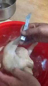 Combo 10 Chiếc Dụng Cụ Nhổ Lông Gà Kèm Dao Tỉa Bằng Thép Không Gỉ