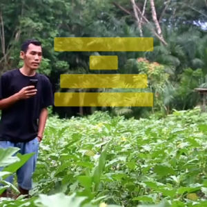 Benih Terong Putih Panjang PULUS Isi 4 gram Benih Bintang Asia