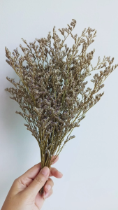 แคสเปียร์ ดอกไม้แห้ง ตกแต่ง พร้อพถ่ายรูป ของแต่งบ้าน ดอกไม้ปักแจกัน