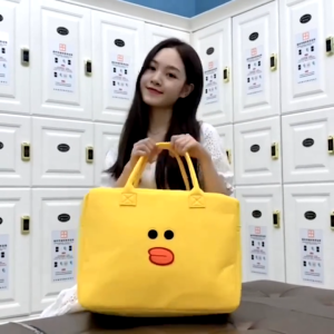 กระเป๋าเดินทางการ์ตูน ความจุขนาดใหญ่ กันน้ำ ง่ายต่อการพกพา กระเป๋าผ้าสักหลาด