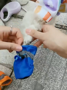 Giày Chó Mèo có dây rút chống tuột (Bộ gồm 4 chiếc) - Love Pets Shop